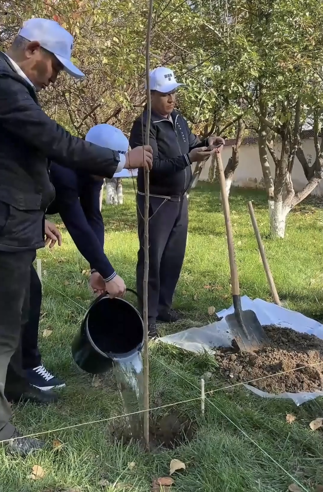 🌿 "Yashil makon" loyihasida Toshkent Amaliy Fanlar Universiteti jamoasi va talabalari. 5